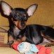 CHIQUI